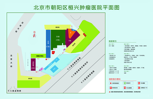 草逼视频网页观看北京市朝阳区桓兴肿瘤医院平面图